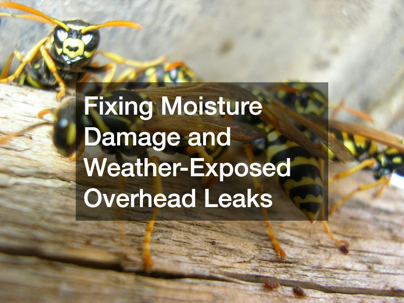 Fixing Moisture Damage and Weather-Exposed Overhead Leaks