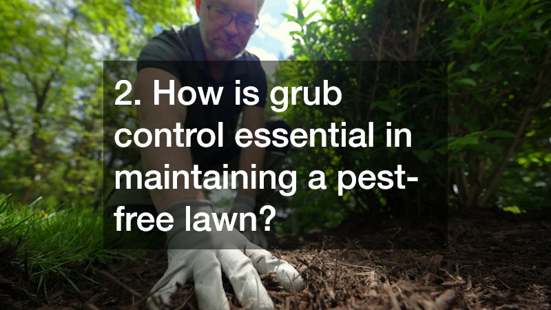 2. How is grub control essential in maintaining a pest-free lawn?