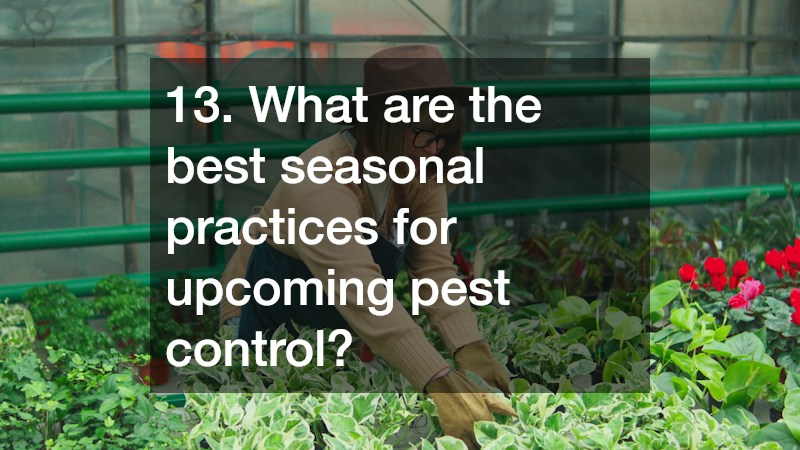 13. What are the best seasonal practices for upcoming pest control?
