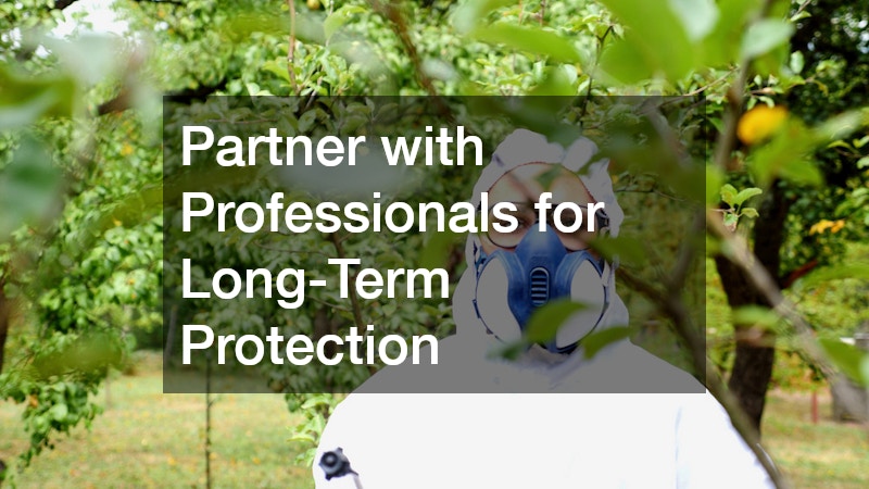 Partner with Professionals for Long-Term Protection