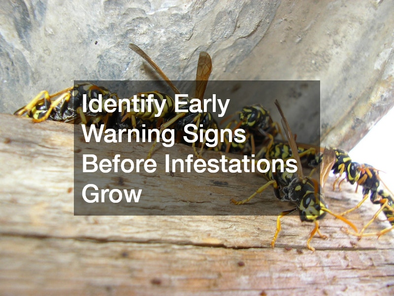Identify Early Warning Signs Before Infestations Grow