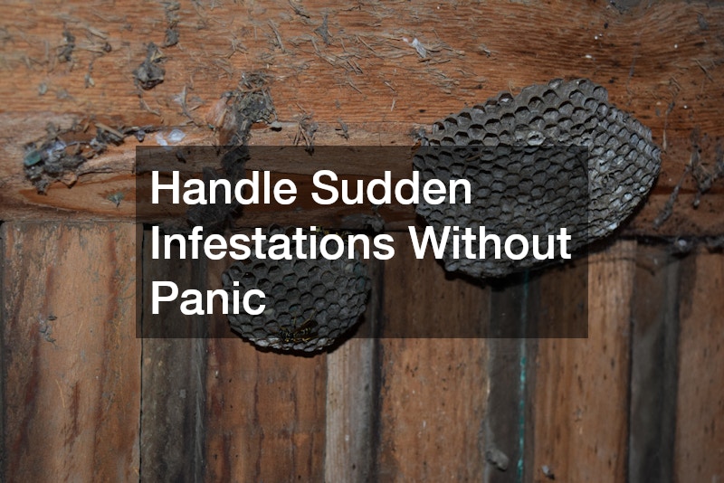Handle Sudden Infestations Without Panic