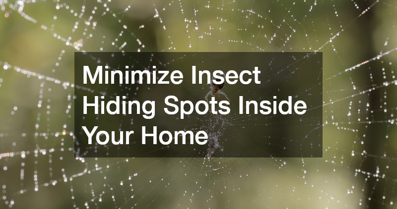 Minimize Insect Hiding Spots Inside Your Home