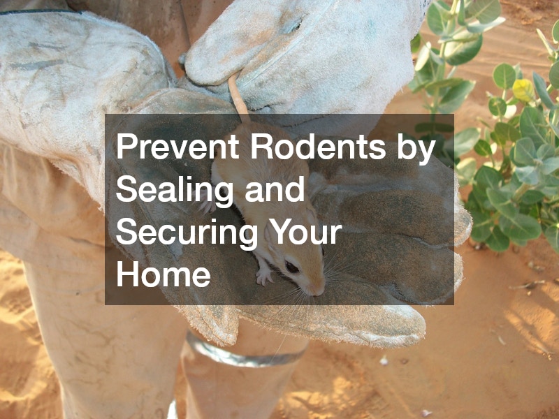 Prevent Rodents by Sealing and Securing Your Home