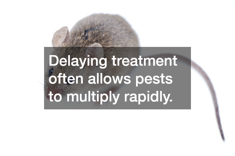 Delaying treatment often allows pests to multiply rapidly.