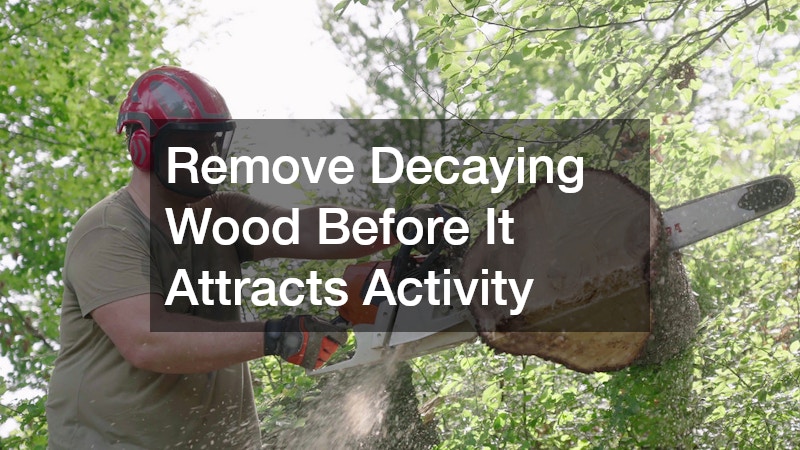 Remove Decaying Wood Before It Attracts Activity