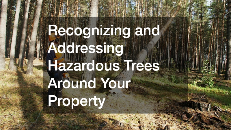 Recognizing and Addressing Hazardous Trees Around Your Property