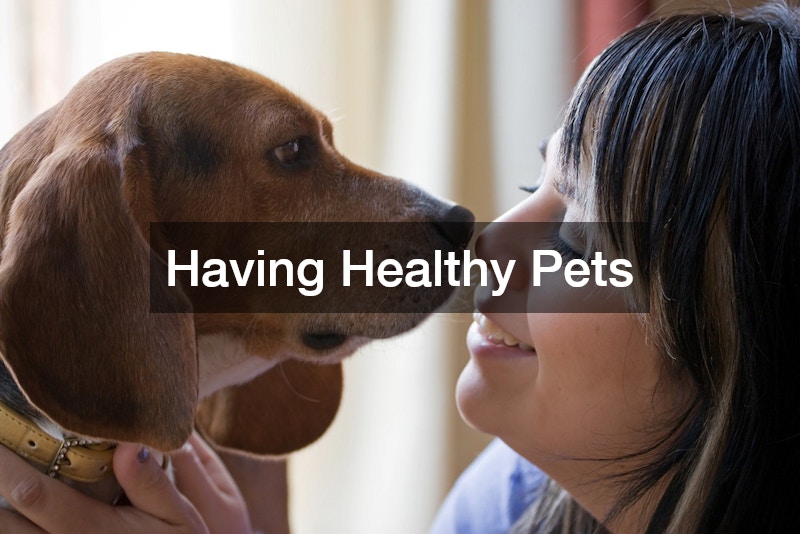 Having Healthy Pets