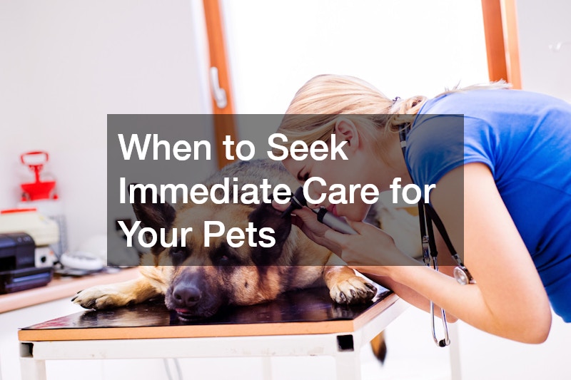 When to Seek Immediate Care for Your Pets
