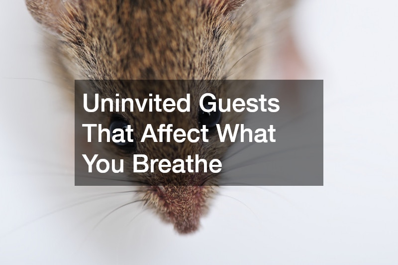 Uninvited Guests That Affect What You Breathe