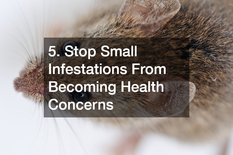 5. Stop Small Infestations From Becoming Health Concerns