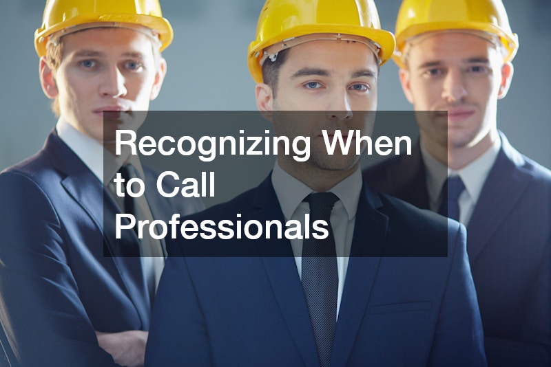 Recognizing When to Call Professionals