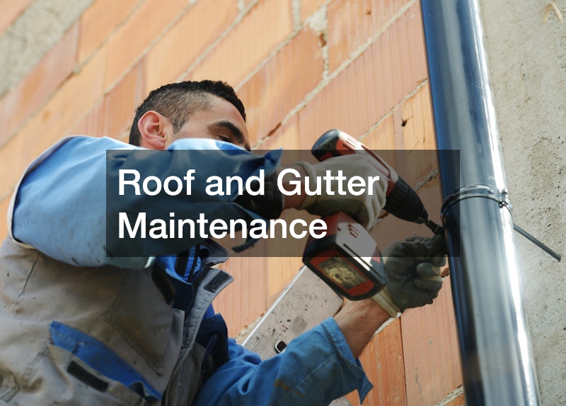 Roof and Gutter Maintenance