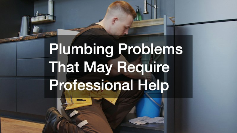 Plumbing Problems That May Require Professional Help
