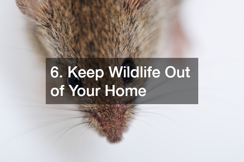 6. Keep Wildlife Out of Your Home