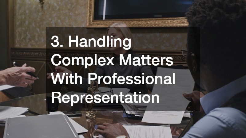 3. Handling Complex Matters With Professional Representation
