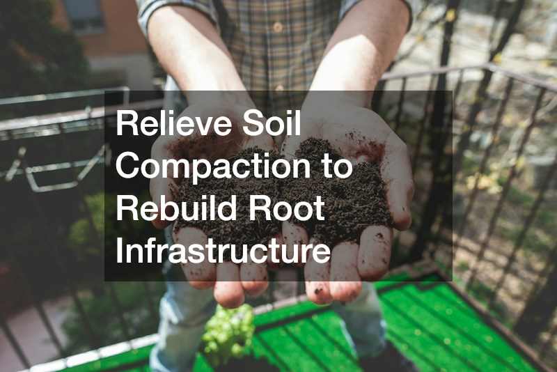 Relieve Soil Compaction to Rebuild Root Infrastructure