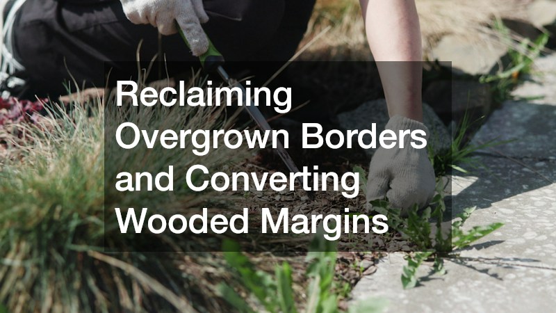 Reclaiming Overgrown Borders and Converting Wooded Margins