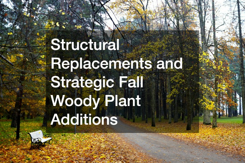 Structural Replacements and Strategic Fall Woody Plant Additions