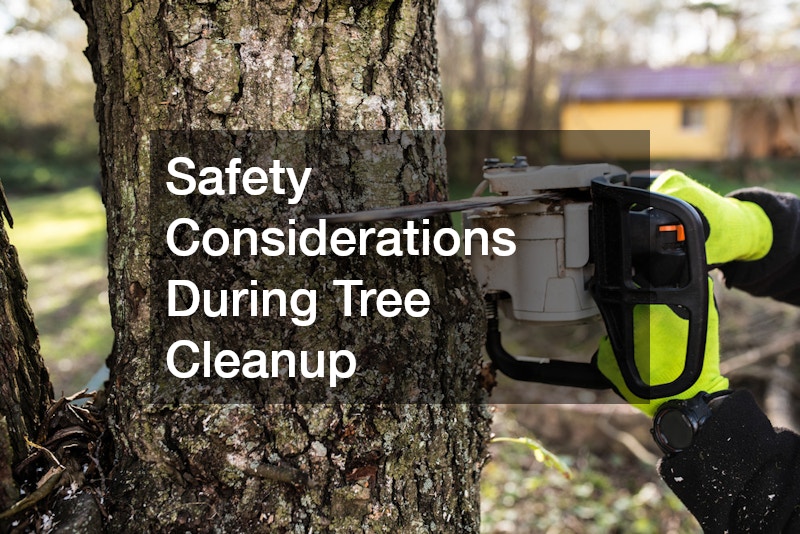 Safety Considerations During Tree Cleanup
