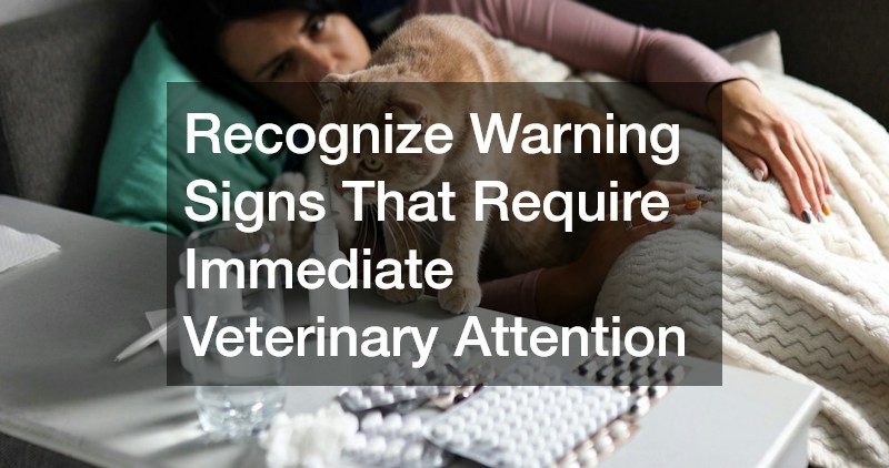 Recognize Warning Signs That Require Immediate Veterinary Attention