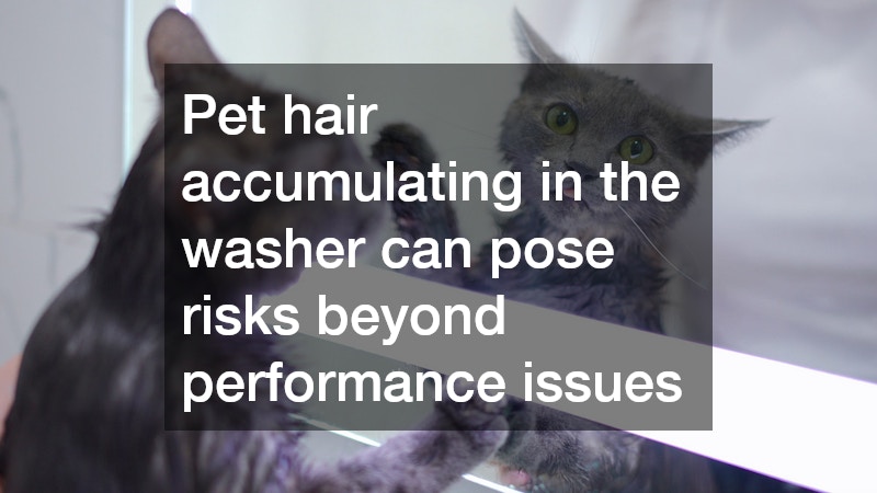 Pet hair accumulating in the washer can pose risks beyond performance issues