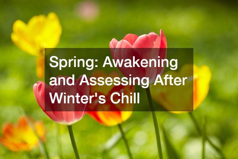Spring: Awakening and Assessing After Winter