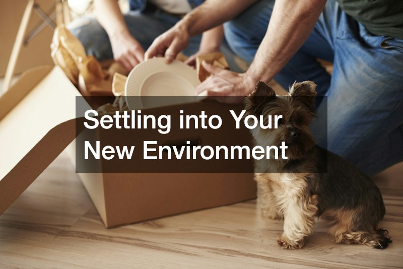 Settling into Your New Environment