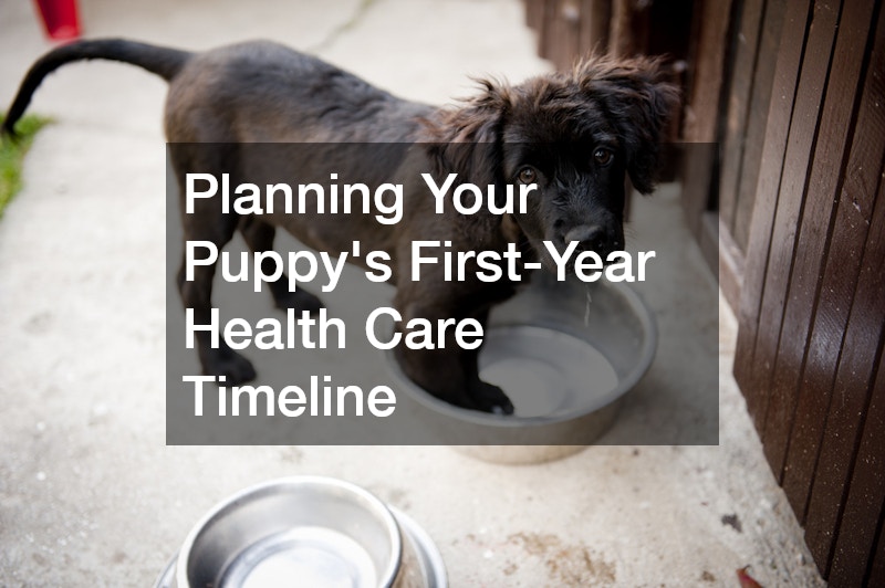 Planning Your Puppy’s First-Year Health Care Timeline 