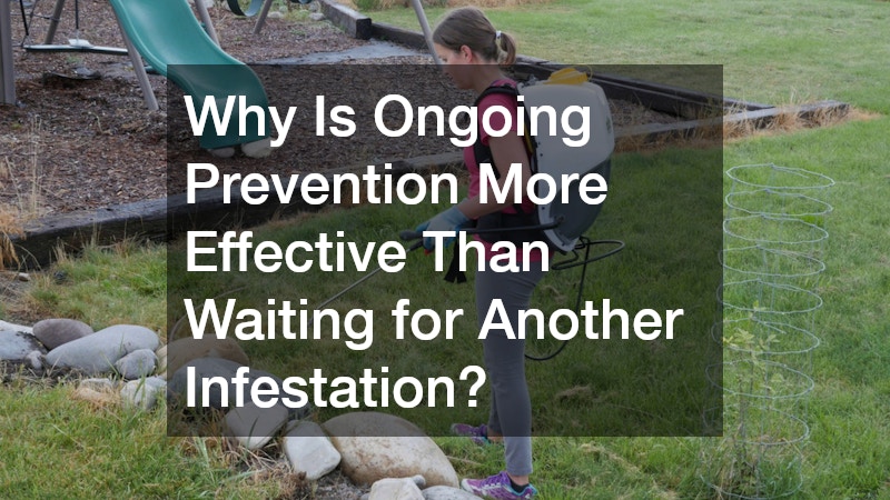 Why Is Ongoing Prevention More Effective Than Waiting for Another Infestation?
