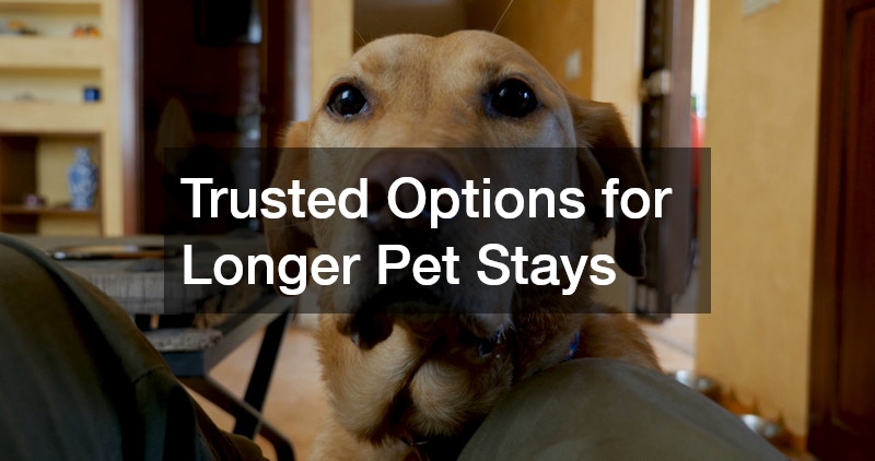 Trusted Options for Longer Pet Stays