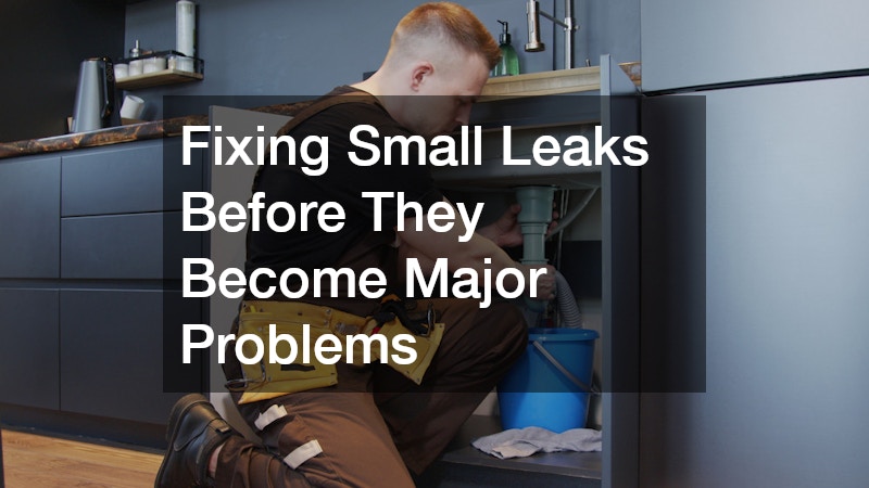 Fixing Small Leaks Before They Become Major Problems