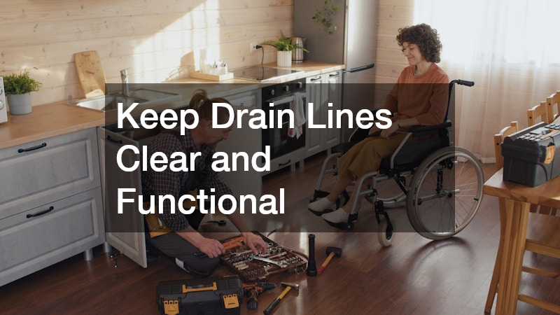 Keep Drain Lines Clear and Functional
