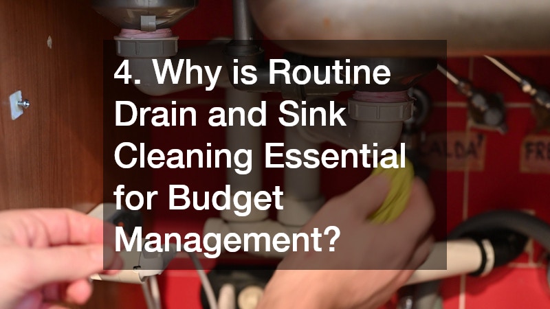 4. Why is Routine Drain and Sink Cleaning Essential for Budget Management?