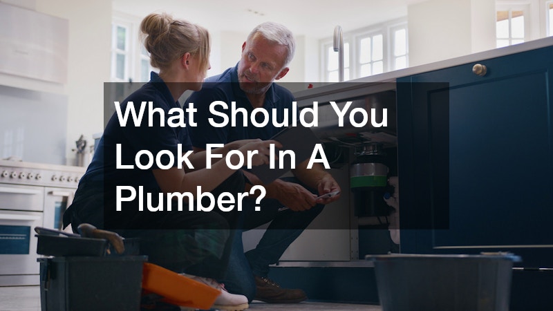 What Should You Look For In A Plumber?