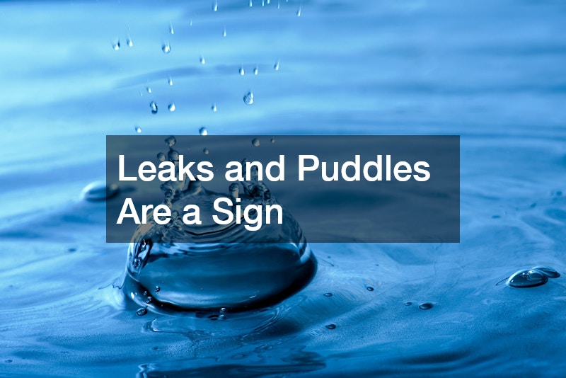 Leaks and Puddles Are a Sign