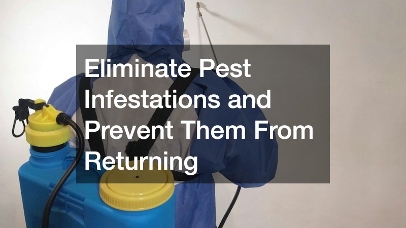 Eliminate Pest Infestations and Prevent Them From Returning