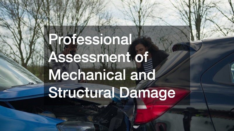 Professional Assessment of Mechanical and Structural Damage