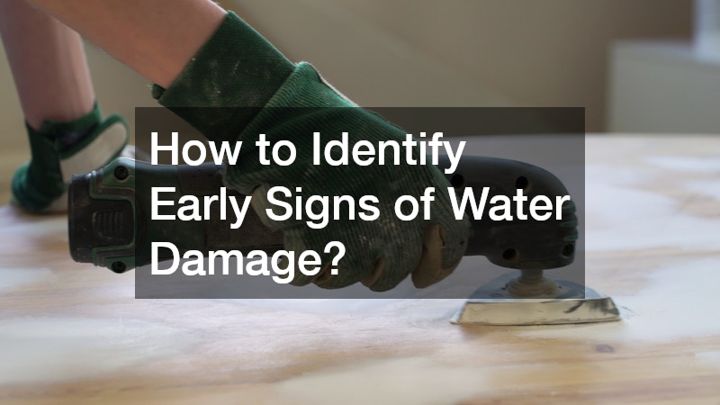How to Identify Early Signs of Water Damage?