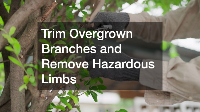 Trim Overgrown Branches and Remove Hazardous Limbs