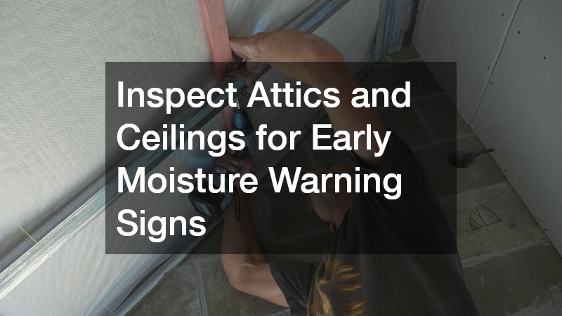 Inspect Attics and Ceilings for Early Moisture Warning Signs