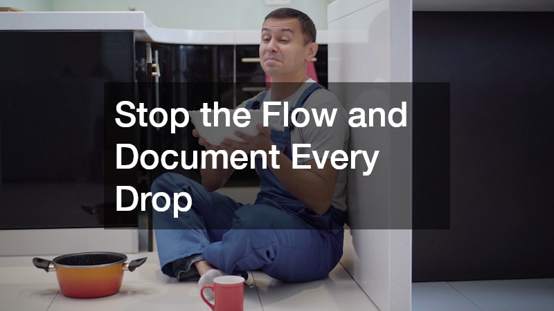 Stop the Flow and Document Every Drop