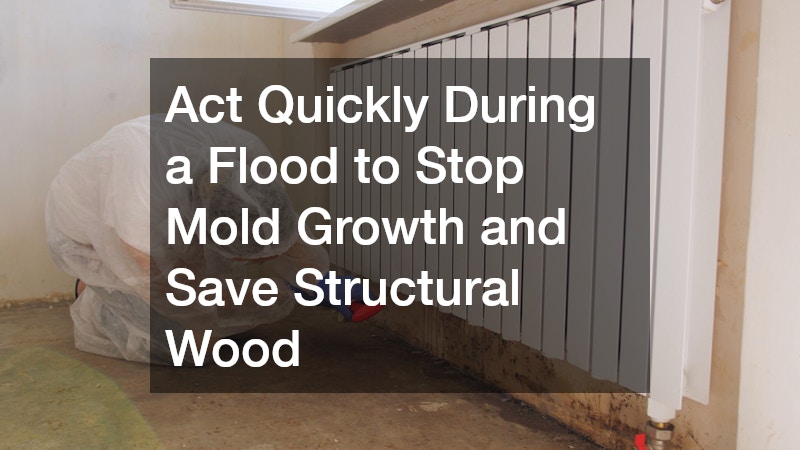 Act Quickly During a Flood to Stop Mold Growth and Save Structural Wood