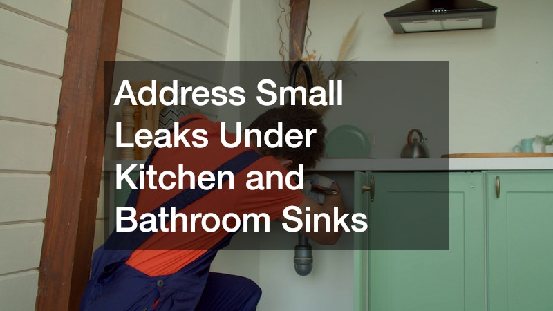 Address Small Leaks Under Kitchen and Bathroom Sinks