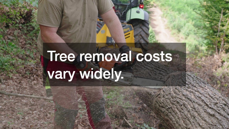Tree removal costs vary widely.