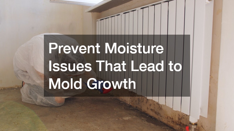 Prevent Moisture Issues That Lead to Mold Growth