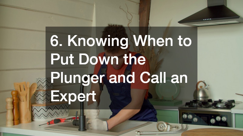 6. Knowing When to Put Down the Plunger and Call an Expert