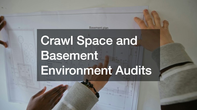 Crawl Space and Basement Environment Audits