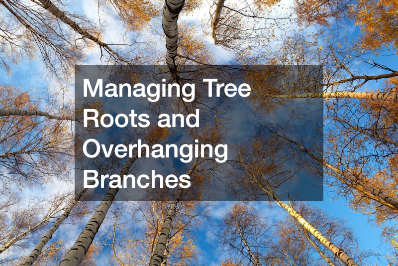 Managing Tree Roots and Overhanging Branches