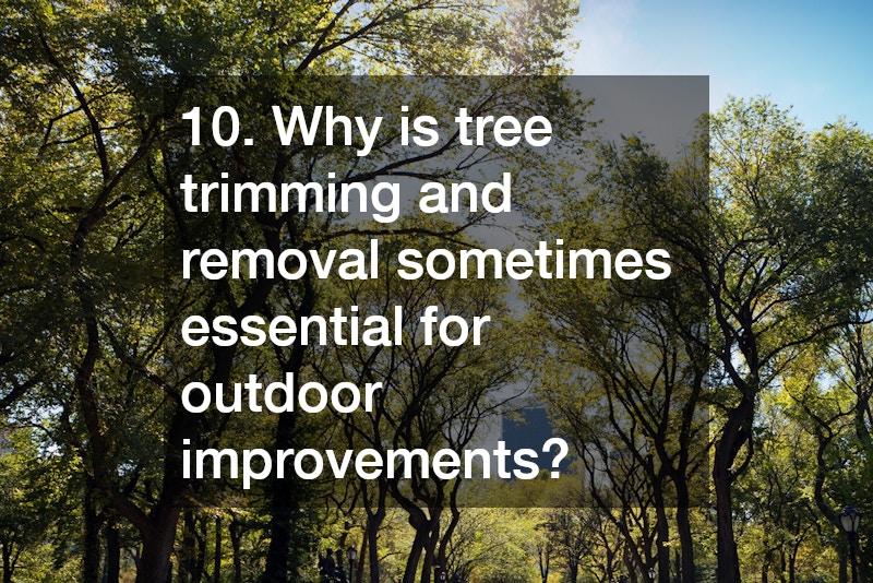 10. Why is tree trimming and removal sometimes essential for outdoor improvements?
